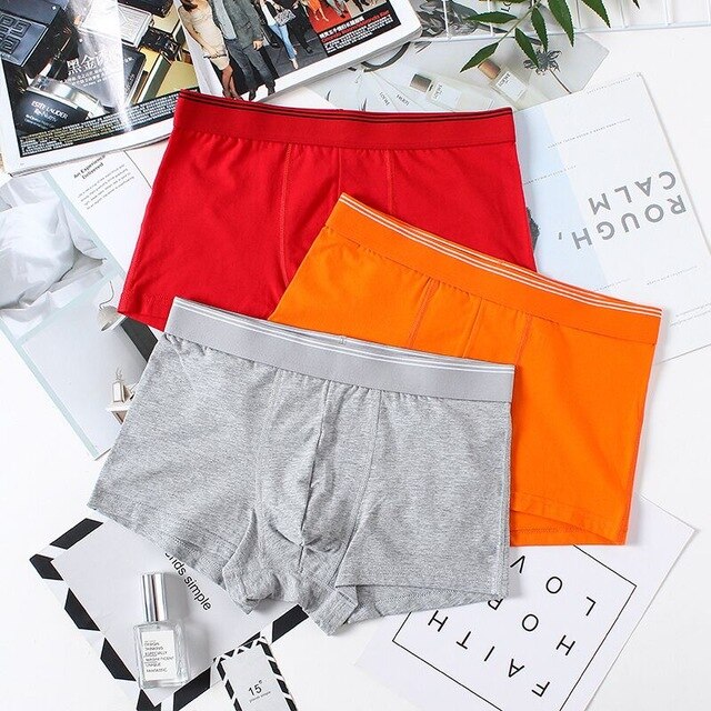 3pcs Underwear Boxer